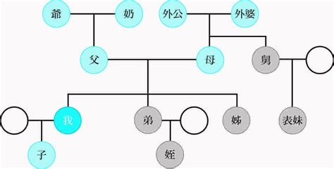 叔公是幾等親|一二三四五六親等搞得我頭好亂，血親和姻親到底該怎。